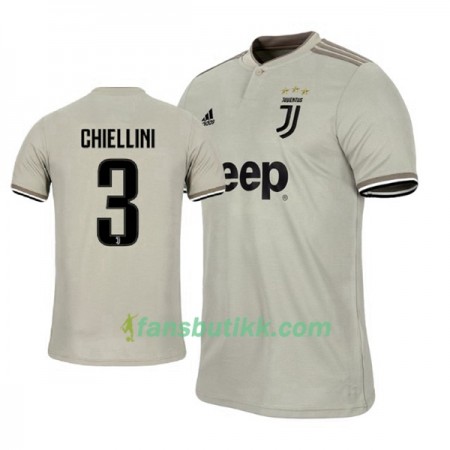 Fotballdrakt Juventus Giorgio Chiellini 3 Bortetrøye 2018-2019 Kortermet